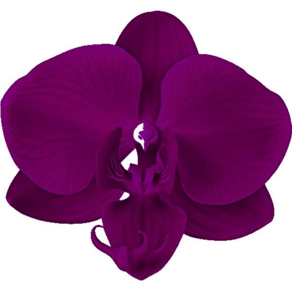 http://flower