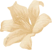 http://flower